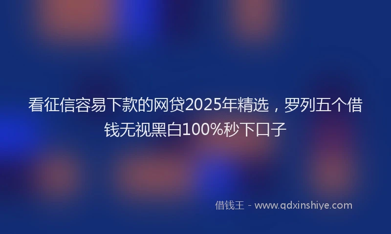 看征信容易下款的网贷2025年精选，罗列五个借钱无视黑白100%秒下口子