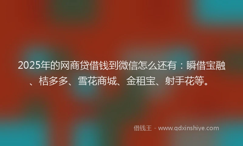 2025年的网商贷借钱到微信怎么还有：瞬借宝融、桔多多、雪花商城、金租宝、射手花等。
