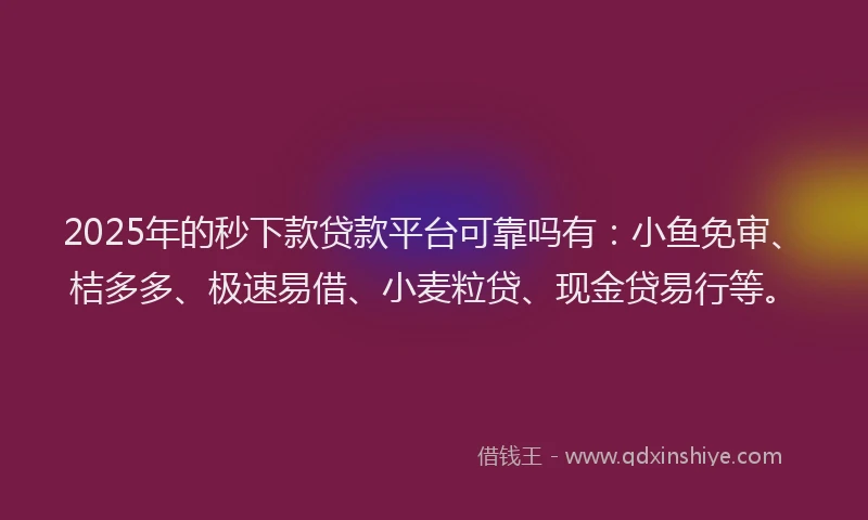 2025年的秒下款贷款平台可靠吗有：小鱼免审、桔多多、极速易借、小麦粒贷、现金贷易行等。