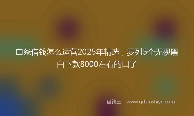 白条借钱怎么运营2025年精选，罗列5个无视黑白下款8000左右的口子