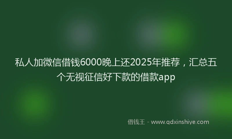 私人加微信借钱6000晚上还2025年推荐，汇总五个无视征信好下款的借款app