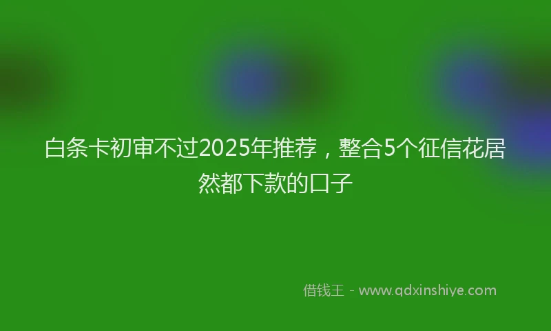 白条卡初审不过2025年推荐，整合5个征信花居然都下款的口子