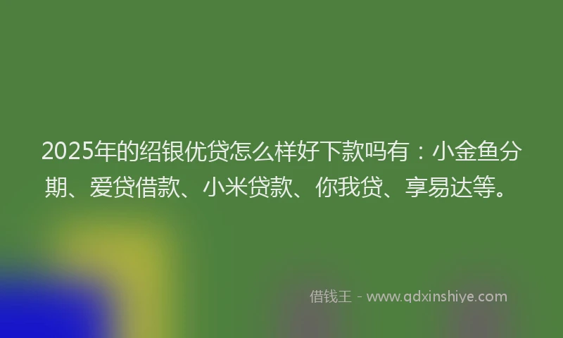 2025年的绍银优贷怎么样好下款吗有：小金鱼分期、爱贷借款、小米贷款、你我贷、享易达等。