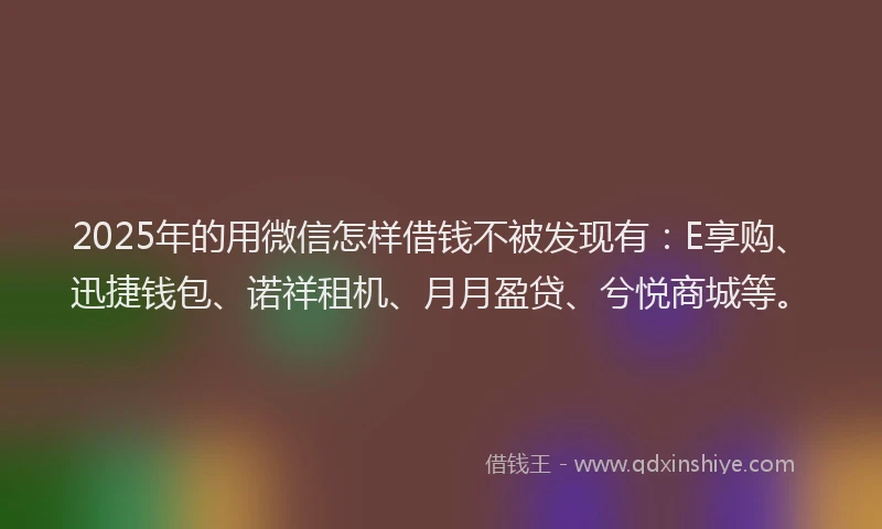 2025年的用微信怎样借钱不被发现有：E享购、迅捷钱包、诺祥租机、月月盈贷、兮悦商城等。