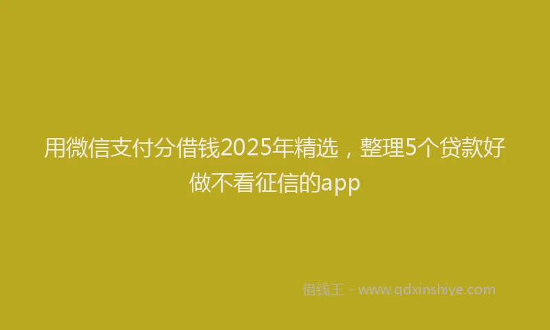 用微信支付分借钱2025年精选，整理5个贷款好做不看征信的app