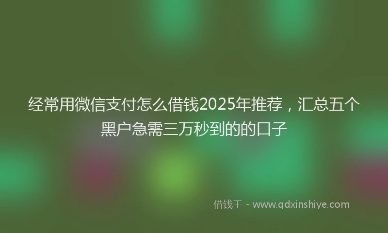 经常用微信支付怎么借钱2025年推荐，汇总五个黑户急需三万秒到的的口子