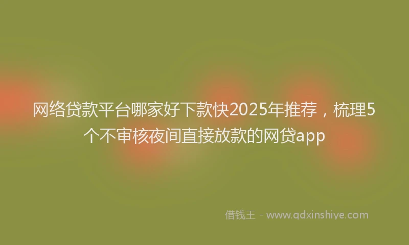 网络贷款平台哪家好下款快2025年推荐，梳理5个不审核夜间直接放款的网贷app