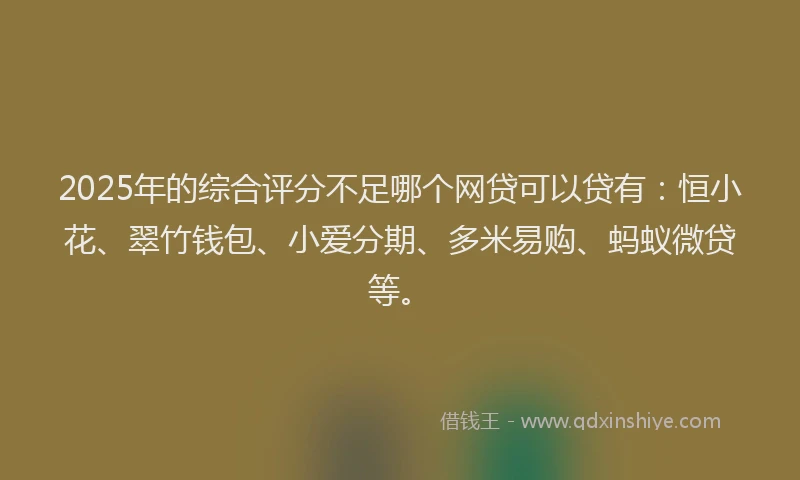 2025年的综合评分不足哪个网贷可以贷有：恒小花、翠竹钱包、小爱分期、多米易购、蚂蚁微贷等。