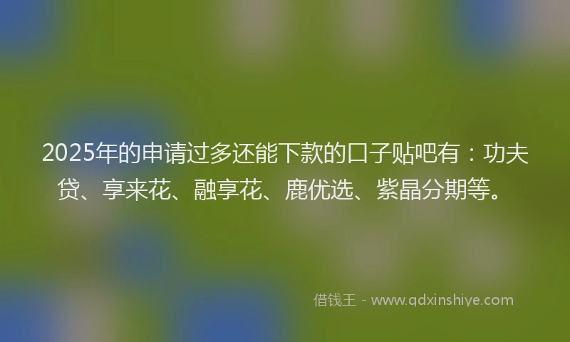 2025年的申请过多还能下款的口子贴吧有：功夫贷、享来花、融享花、鹿优选、紫晶分期等。