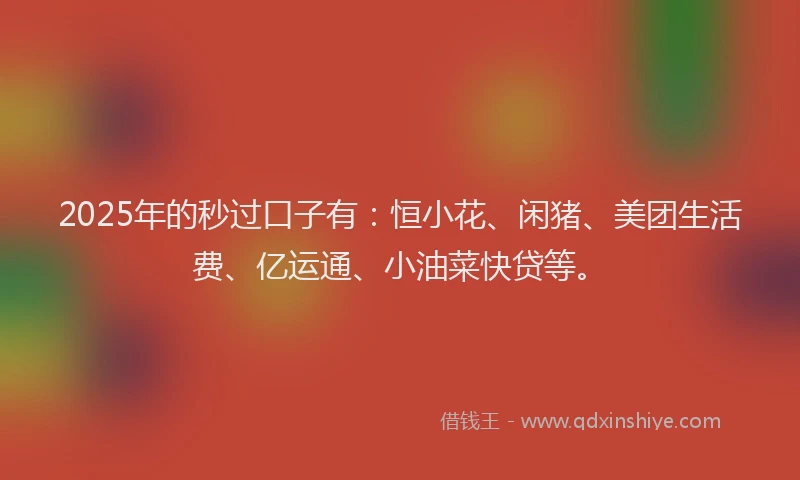 2025年的秒过口子有：恒小花、闲猪、美团生活费、亿运通、小油菜快贷等。