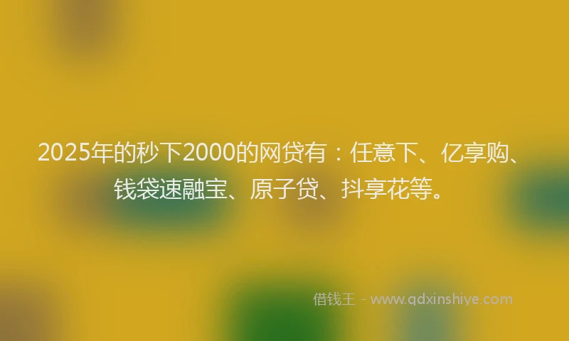 2025年的秒下2000的网贷有：任意下、亿享购、钱袋速融宝、原子贷、抖享花等。