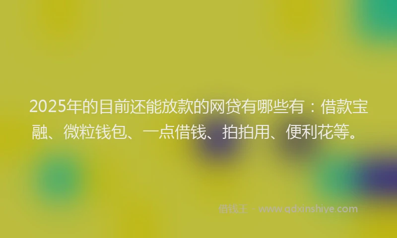 2025年的目前还能放款的网贷有哪些有：借款宝融、微粒钱包、一点借钱、拍拍用、便利花等。