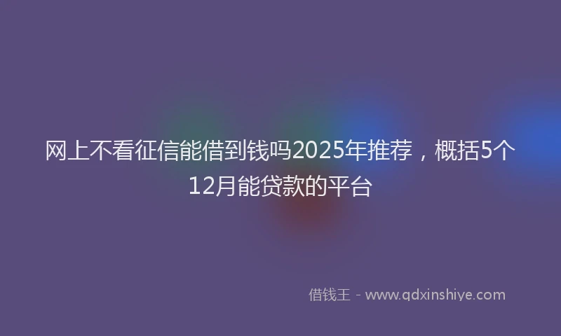 网上不看征信能借到钱吗2025年推荐，概括5个12月能贷款的平台