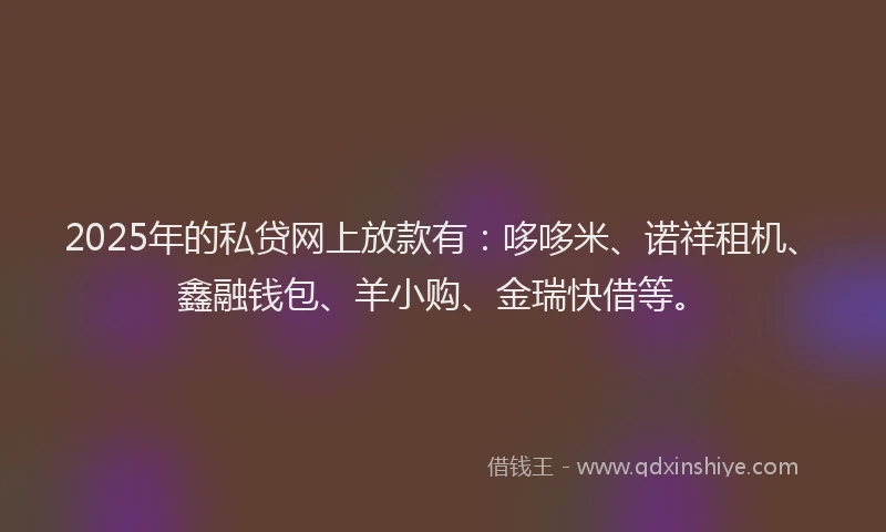 2025年的私贷网上放款有：哆哆米、诺祥租机、鑫融钱包、羊小购、金瑞快借等。