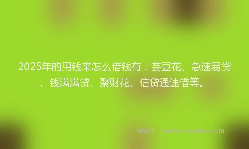 2025年的用钱来怎么借钱有：芸豆花、急速易贷、钱满满贷、聚财花、信贷通速借等。