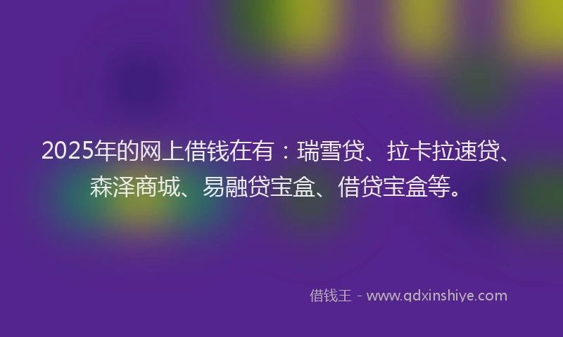 2025年的网上借钱在有：瑞雪贷、拉卡拉速贷、森泽商城、易融贷宝盒、借贷宝盒等。