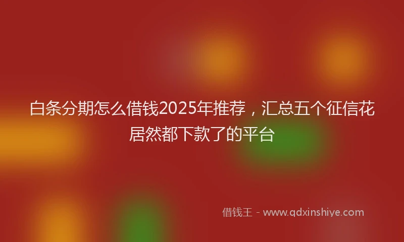 白条分期怎么借钱2025年推荐，汇总五个征信花居然都下款了的平台