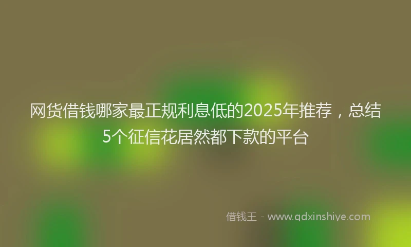 网货借钱哪家最正规利息低的2025年推荐，总结5个征信花居然都下款的平台