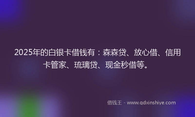 2025年的白银卡借钱有：森森贷、放心借、信用卡管家、琉璃贷、现金秒借等。