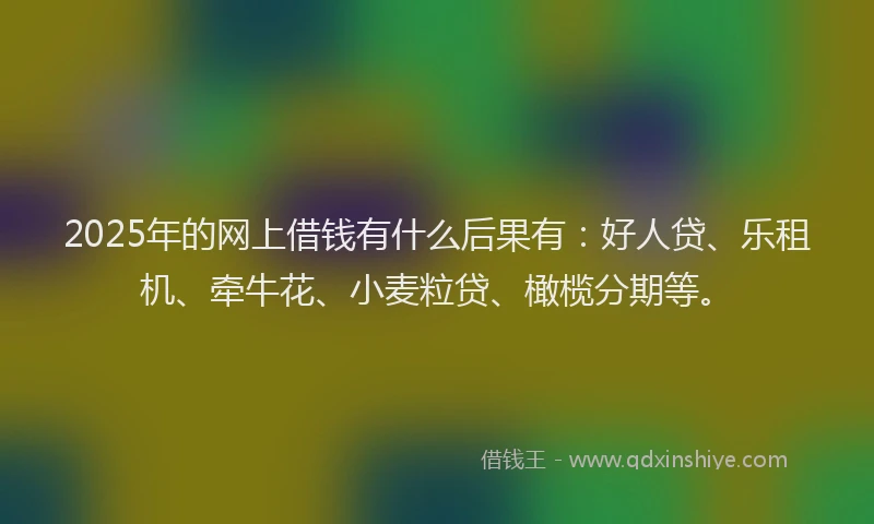 2025年的网上借钱有什么后果有：好人贷、乐租机、牵牛花、小麦粒贷、橄榄分期等。