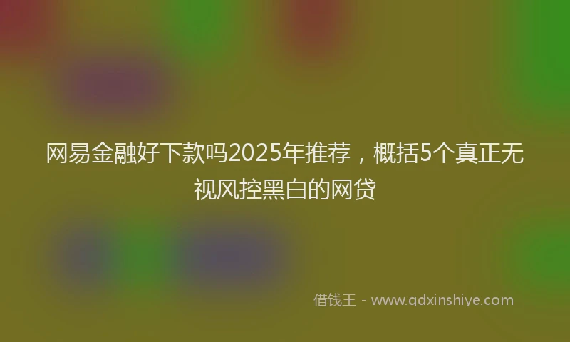 网易金融好下款吗2025年推荐，概括5个真正无视风控黑白的网贷