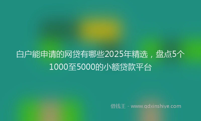 白户能申请的网贷有哪些2025年精选，盘点5个1000至5000的小额贷款平台