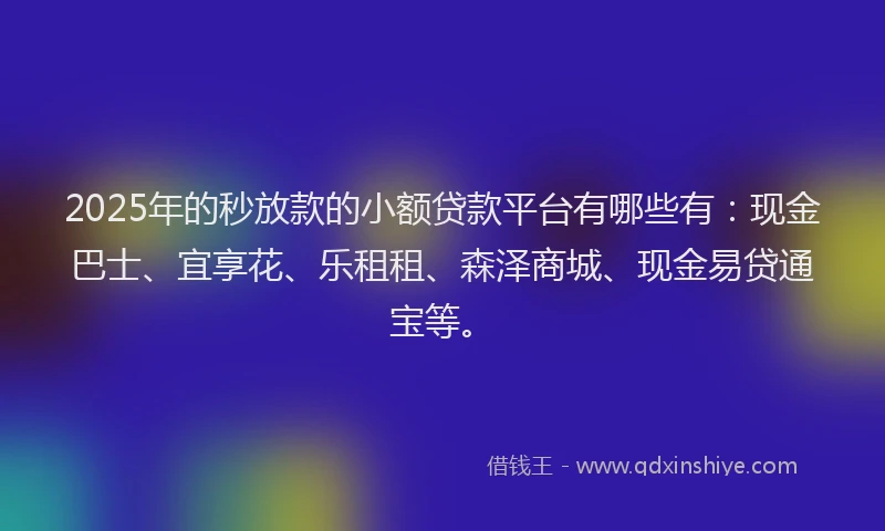 2025年的秒放款的小额贷款平台有哪些有：现金巴士、宜享花、乐租租、森泽商城、现金易贷通宝等。