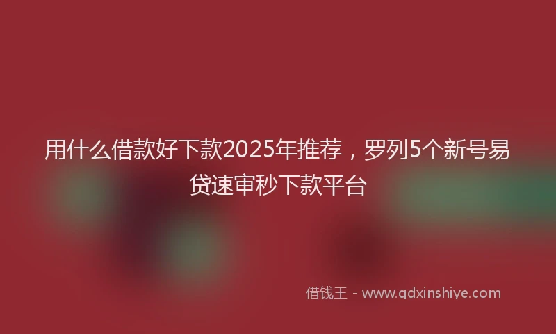 用什么借款好下款2025年推荐，罗列5个新号易贷速审秒下款平台