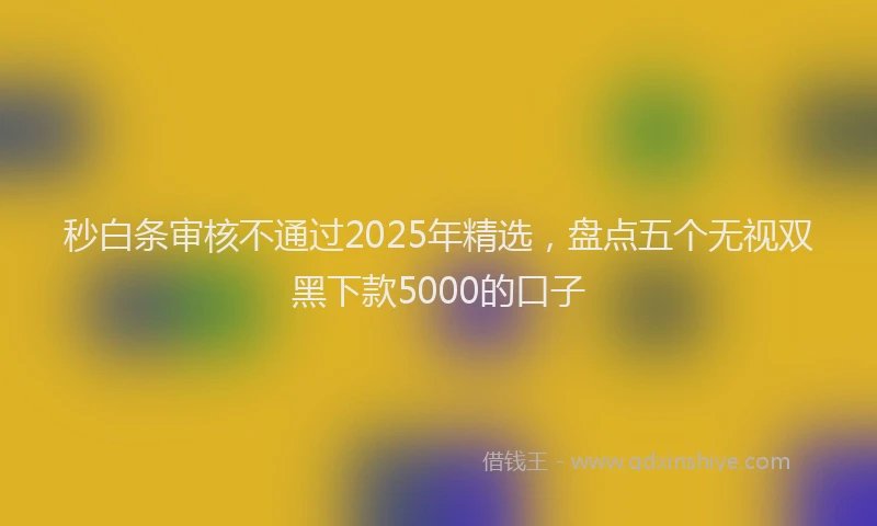 秒白条审核不通过2025年精选，盘点五个无视双黑下款5000的口子