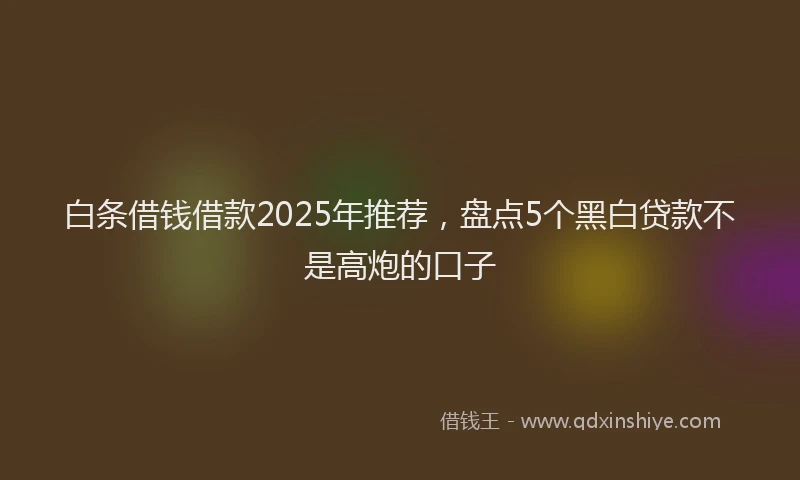 白条借钱借款2025年推荐，盘点5个黑白贷款不是高炮的口子
