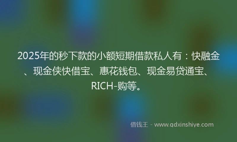 2025年的秒下款的小额短期借款私人有：快融金、现金侠快借宝、惠花钱包、现金易贷通宝、RICH-购等。