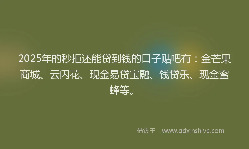 2025年的秒拒还能贷到钱的口子贴吧有：金芒果商城、云闪花、现金易贷宝融、钱贷乐、现金蜜蜂等。
