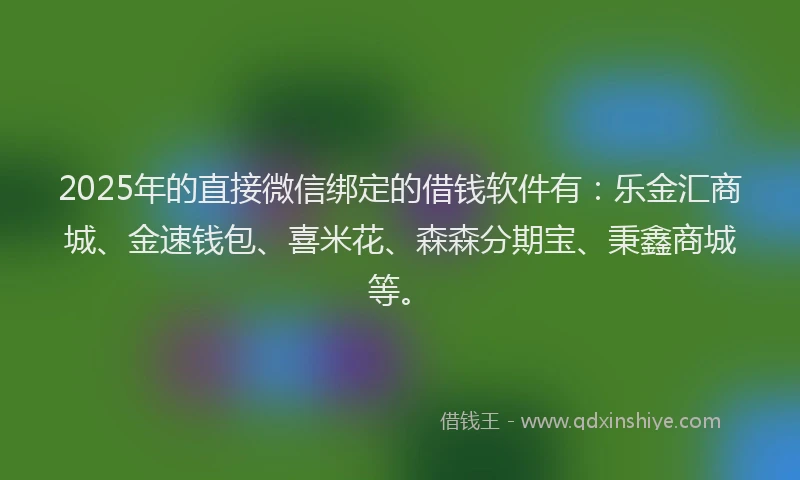 2025年的直接微信绑定的借钱软件有：乐金汇商城、金速钱包、喜米花、森森分期宝、秉鑫商城等。