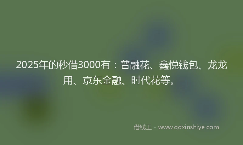 2025年的秒借3000有：普融花、鑫悦钱包、龙龙用、京东金融、时代花等。