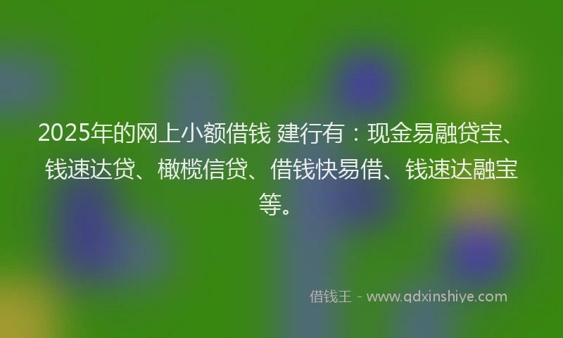 2025年的网上小额借钱 建行有：现金易融贷宝、钱速达贷、橄榄信贷、借钱快易借、钱速达融宝等。