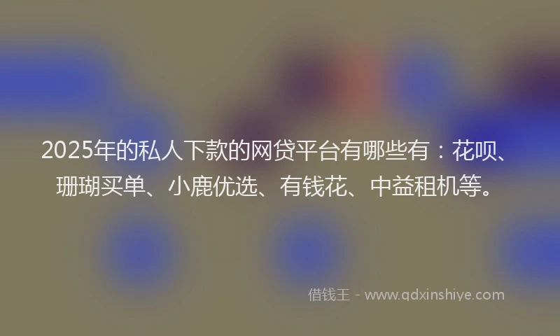 2025年的私人下款的网贷平台有哪些有：花呗、珊瑚买单、小鹿优选、有钱花、中益租机等。