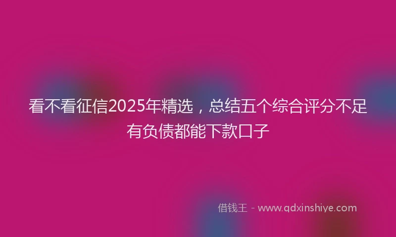 看不看征信2025年精选，总结五个综合评分不足有负债都能下款口子