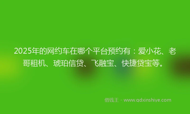2025年的网约车在哪个平台预约有：爱小花、老哥租机、琥珀信贷、飞融宝、快捷贷宝等。