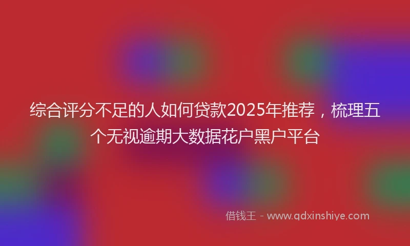 综合评分不足的人如何贷款2025年推荐，梳理五个无视逾期大数据花户黑户平台