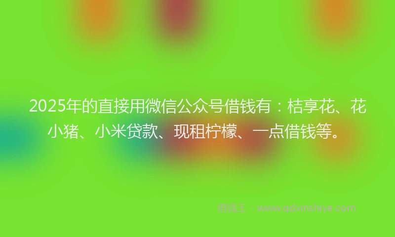 2025年的直接用微信公众号借钱有：桔享花、花小猪、小米贷款、现租柠檬、一点借钱等。