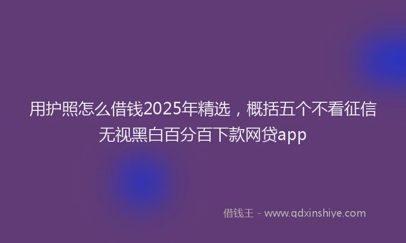 用护照怎么借钱2025年精选，概括五个不看征信无视黑白百分百下款网贷app