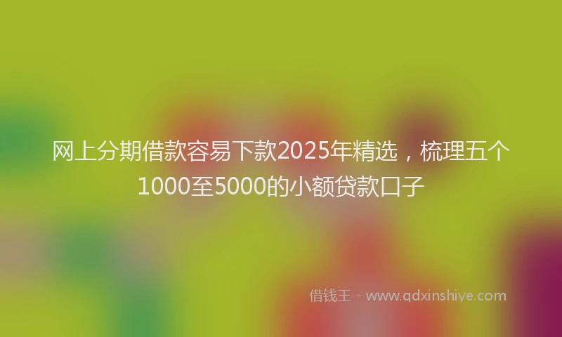 网上分期借款容易下款2025年精选，梳理五个1000至5000的小额贷款口子