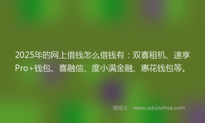 2025年的网上借钱怎么借钱有：双喜租机、速享Pro+钱包、喜融信、度小满金融、惠花钱包等。