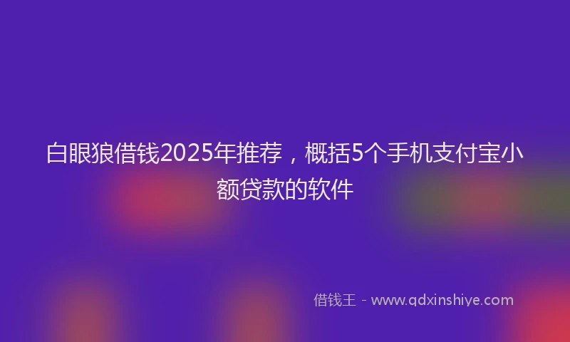 白眼狼借钱2025年推荐，概括5个手机支付宝小额贷款的软件