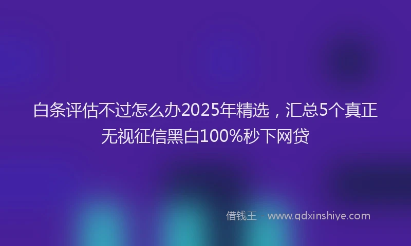 白条评估不过怎么办2025年精选，汇总5个真正无视征信黑白100%秒下网贷
