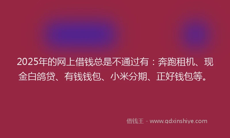 2025年的网上借钱总是不通过有：奔跑租机、现金白鸽贷、有钱钱包、小米分期、正好钱包等。
