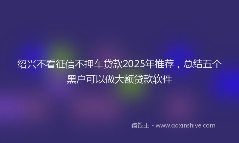 绍兴不看征信不押车贷款2025年推荐，总结五个黑户可以做大额贷款软件
