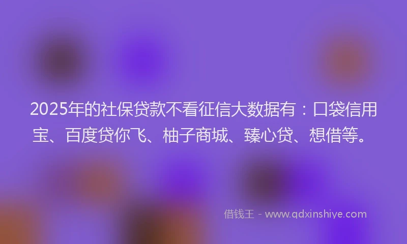 2025年的社保贷款不看征信大数据有：口袋信用宝、百度贷你飞、柚子商城、臻心贷、想借等。