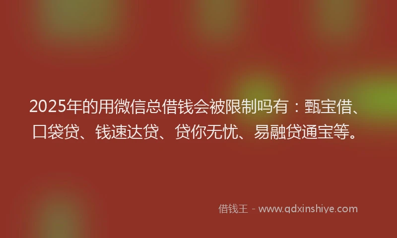 2025年的用微信总借钱会被限制吗有：甄宝借、口袋贷、钱速达贷、贷你无忧、易融贷通宝等。