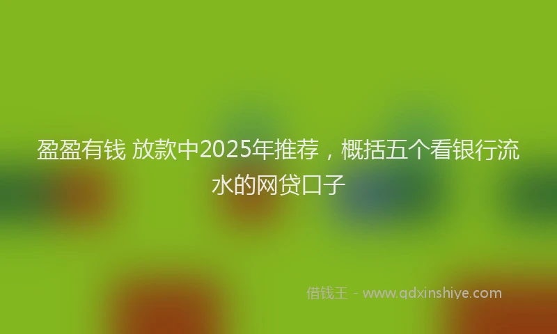 盈盈有钱 放款中2025年推荐，概括五个看银行流水的网贷口子
